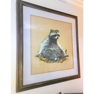 "Raccoon" Charles Frace 1974 Natural Wildlife Lithograph Signed